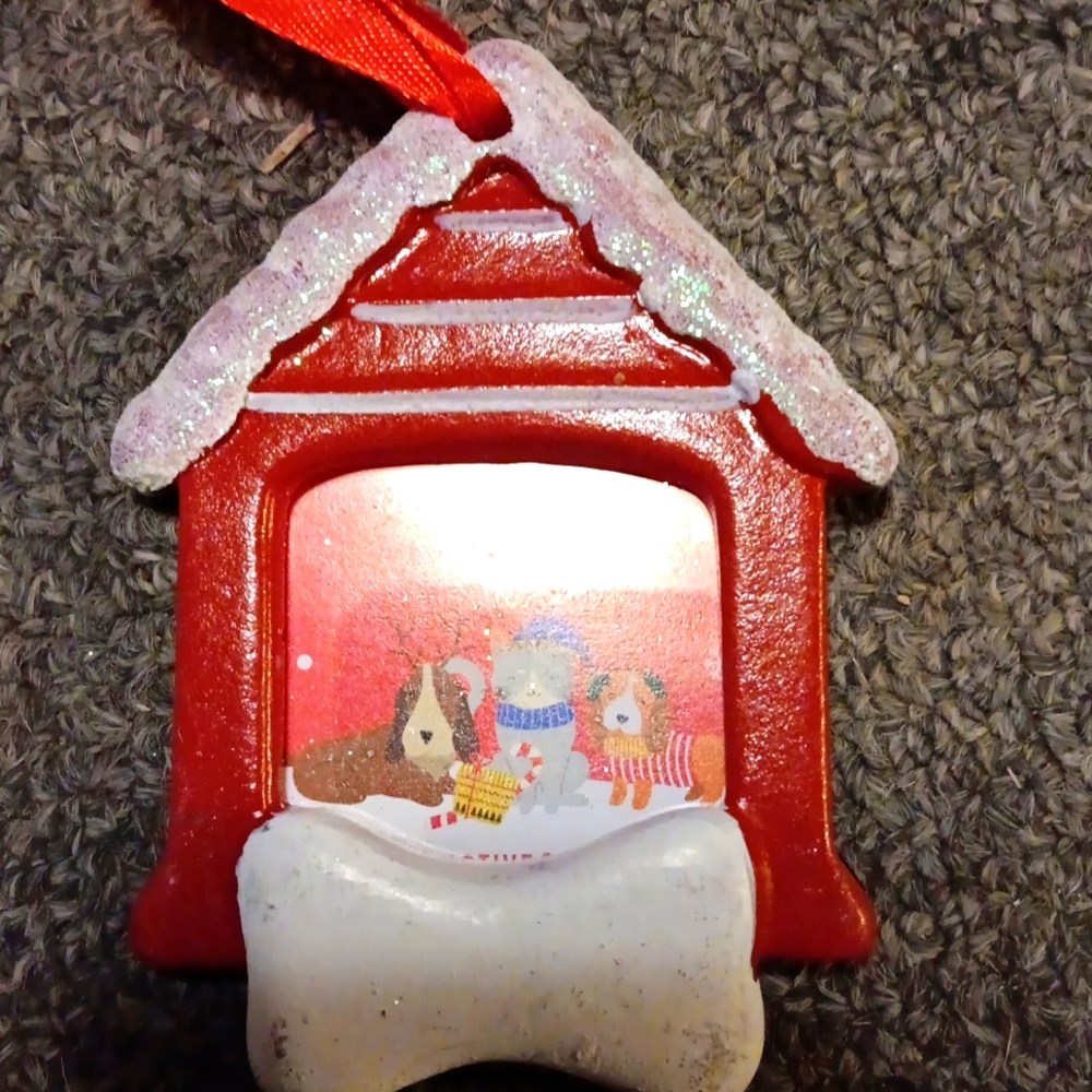 Pet ornament